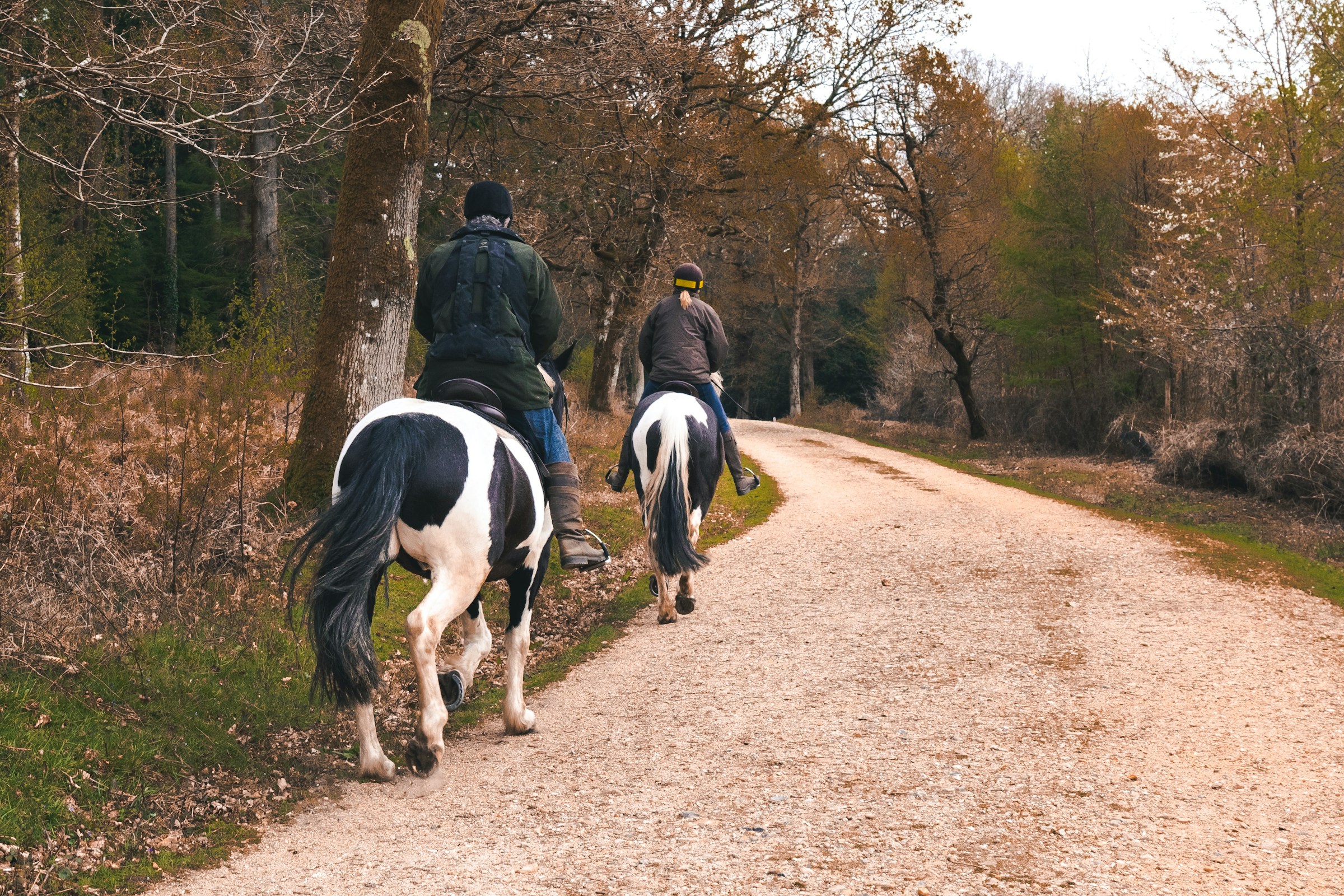 Equitation